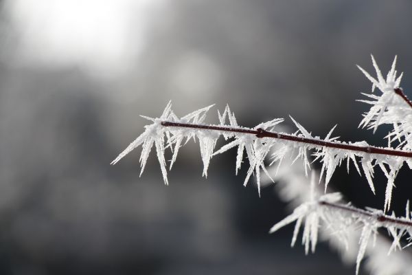 겨울 한파 날씨