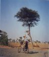 [아프리카 자전거 순례 2만 리 23] 에티오피아, 자전거 여행