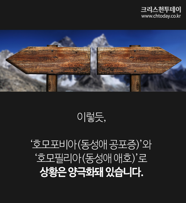 카드뉴스 동성애 논쟁 존 스토트