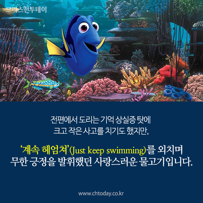 카드뉴스 도리를 찾아서