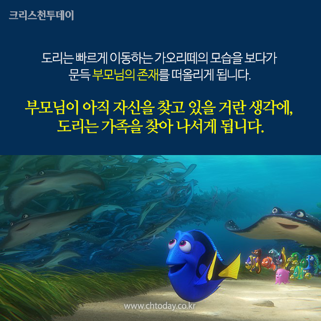 카드뉴스 도리를 찾아서