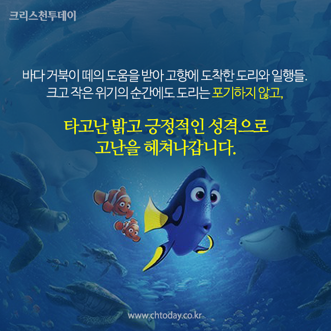 카드뉴스 도리를 찾아서