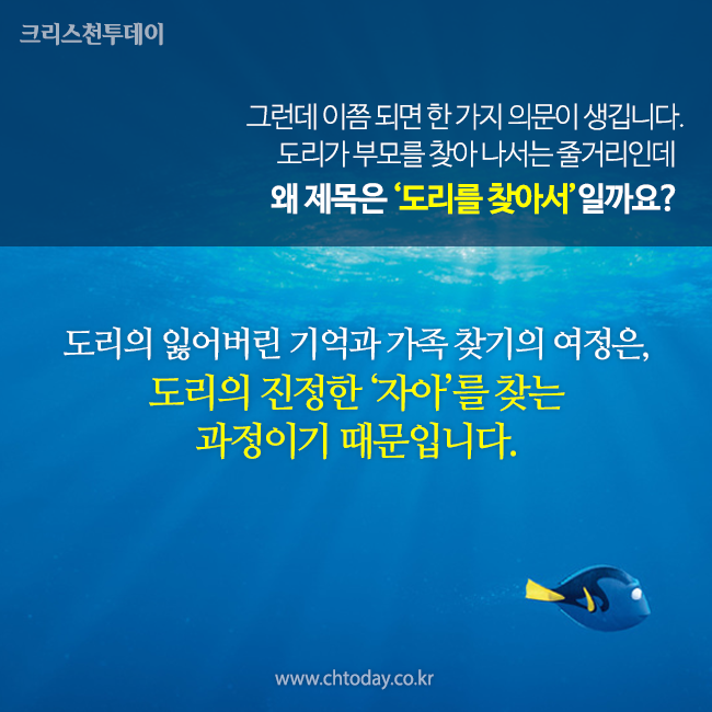 카드뉴스 도리를 찾아서