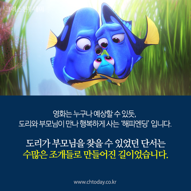 카드뉴스 도리를 찾아서