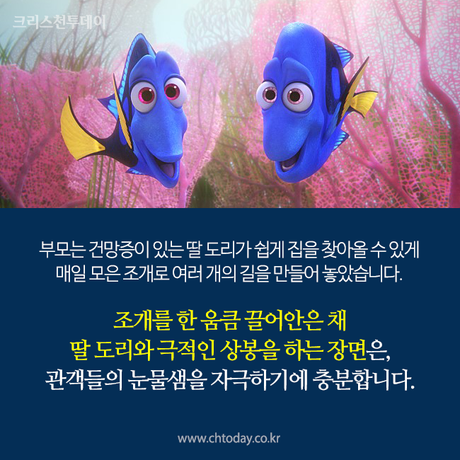 카드뉴스 도리를 찾아서