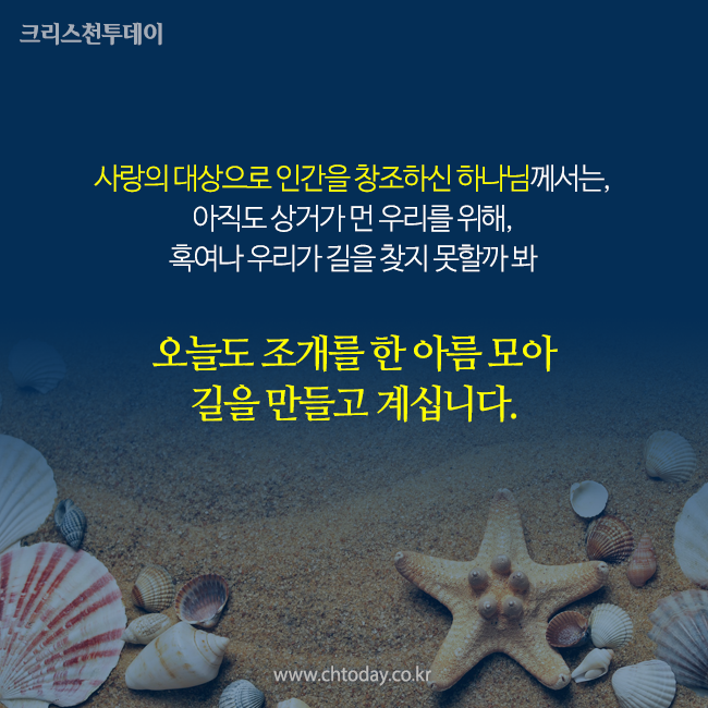 카드뉴스 도리를 찾아서