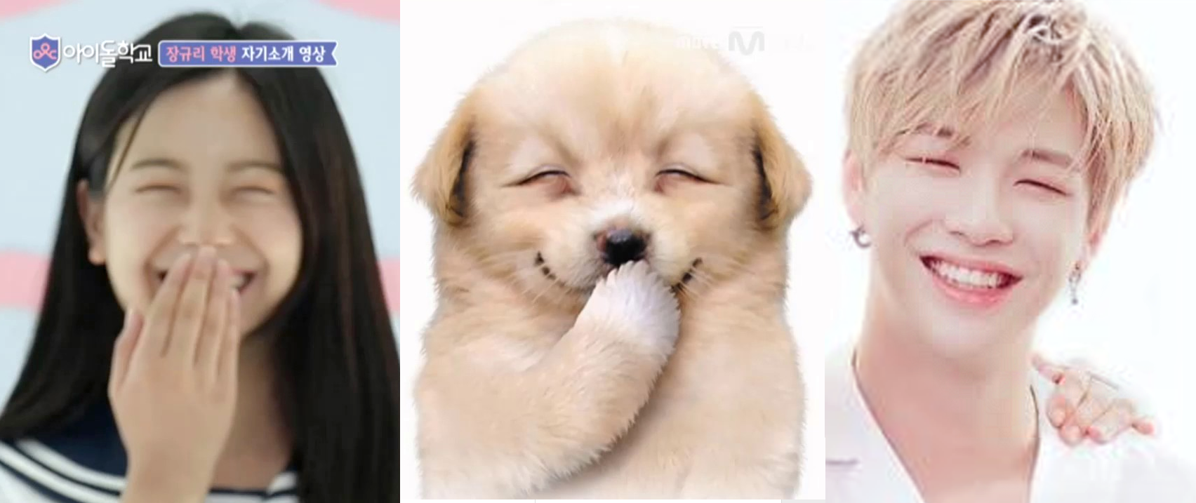 ▲Mnet &lt;아이돌학교&gt;에 출연중인 장규리 학생이 자기소개에서 닮은 꼴 강아지의 눈웃음을 선보였다. 사진 속의 강아지는 강다니엘 닮은 꼴로 화제가 되기도 했다. ⓒMnet, 워너원공식 인스타그램 캡쳐