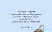 [Bread of Life]  John 10:14~15