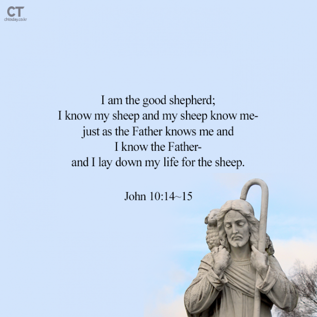 [Bread of Life]  John 10:14~15