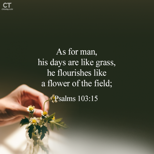 [Bread of Life] Psalms 103:15