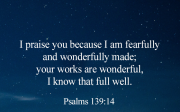 [Bread of Life] Psalms 139:14