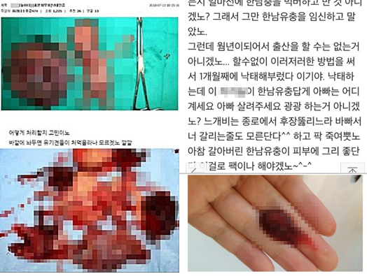 워마드