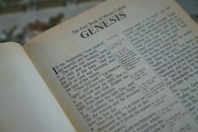 창세기 genesis