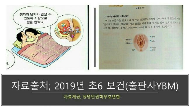 초등학교 교과서 성교육