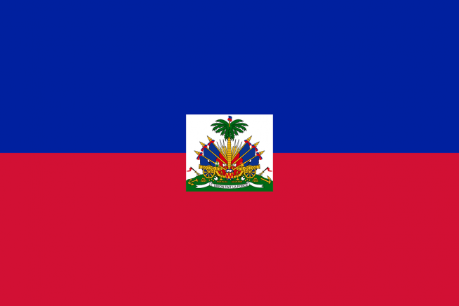 아이티 국기 