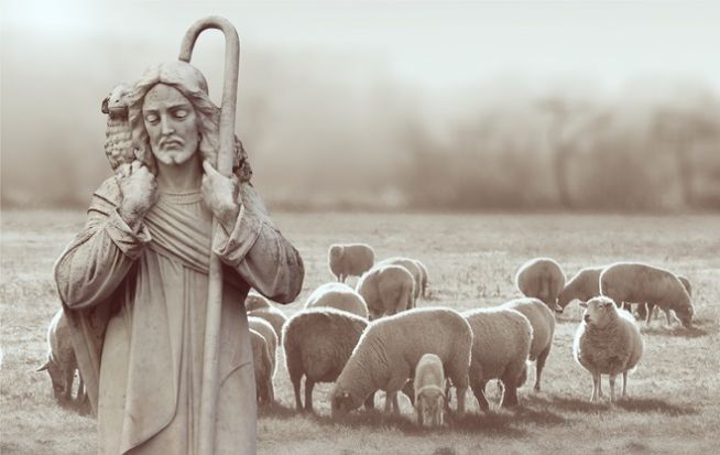 Jesus sheep shepherd