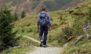 Wanderer Backpack Hike Away Path Mountain Hiking 내리막 오르막 등산 길 하이킹 순례 모험 여정