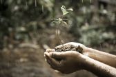 grow growing plant hand nature