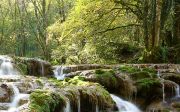 waterfall water nature river forest tree