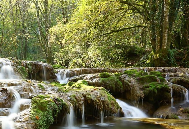 waterfall water nature river forest tree