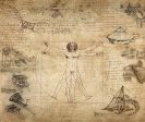 콜라주 레너드 Da Vinci 인체 남자 다빈치 텍스처 이탈리아 벽지 신체
