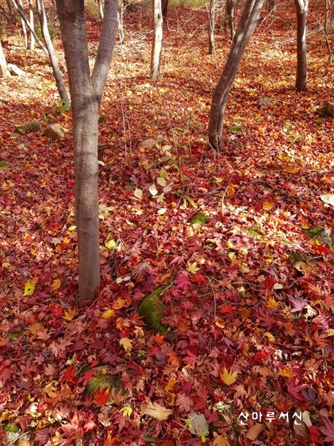 산마루서신