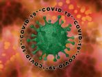 코로나19 바이러스, 전염병, 질병, 세균, 우한폐렴
