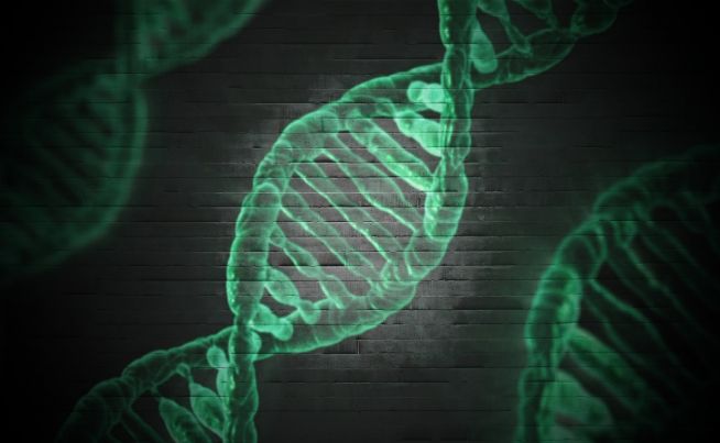 DNA 현미경 세포 유전자 헬릭스 과학 의료 생물학 의학 분자 염색체 건강 화학 진화