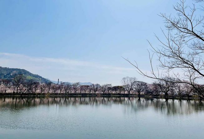 진해 내수면 환경생태공원