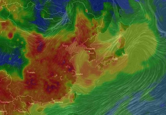 미세먼지 한반도 기상도