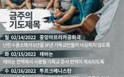 한국 순교자의 소리, 중보기도