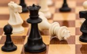 장군 체스 보드 갈등 보드 게임 경쟁 체크 승리 말 확인 패배