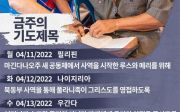 한국 순교자의 소리, 중보기도