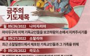 한국 순교자의 소리, 중보기도