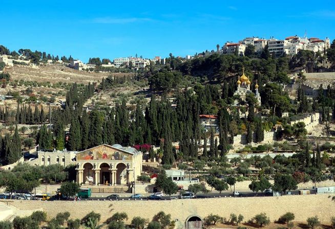 올리브 감람산 예루살렘 이스라엘 거룩한 교회 기독교 그리스도 예수 성자