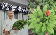 (주)한국산삼공사