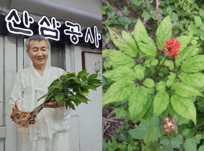 (주)한국산삼공사