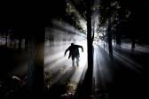 정신 질환 정신병 정신질환 숲 두려움 공포 귀신 유령 악귀 빛 도망 탈출