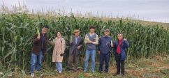 2023년 9월 몽골 다르항지역의 옥수수재배 수확평가후 ICF 김순권 이사장과 고재형 지부장팀.